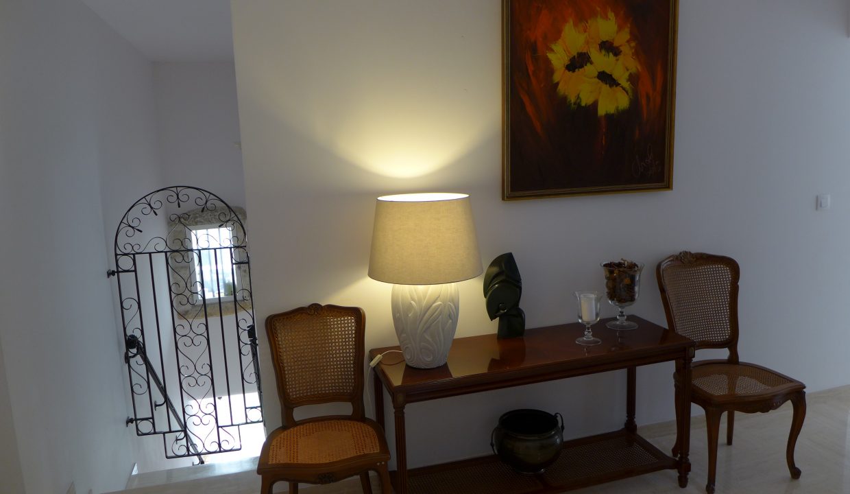 P1010271