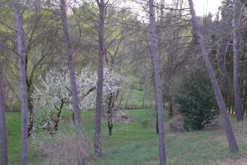P1010280